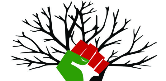 Fist, Green red and black, background with roots. -The Criterion