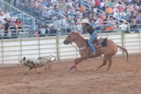 A CMU rodeo participant attempts to rope a calf.