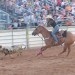 A CMU rodeo participant attempts to rope a calf.