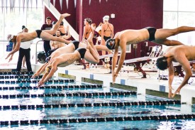 CMU swimmers, past and present, dive into the pool during one of the events at the Maroon and Black Intersquad/Alumni Meet on Saturday.