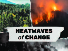 HeatWaves of change, Collage layout.-The Criterion