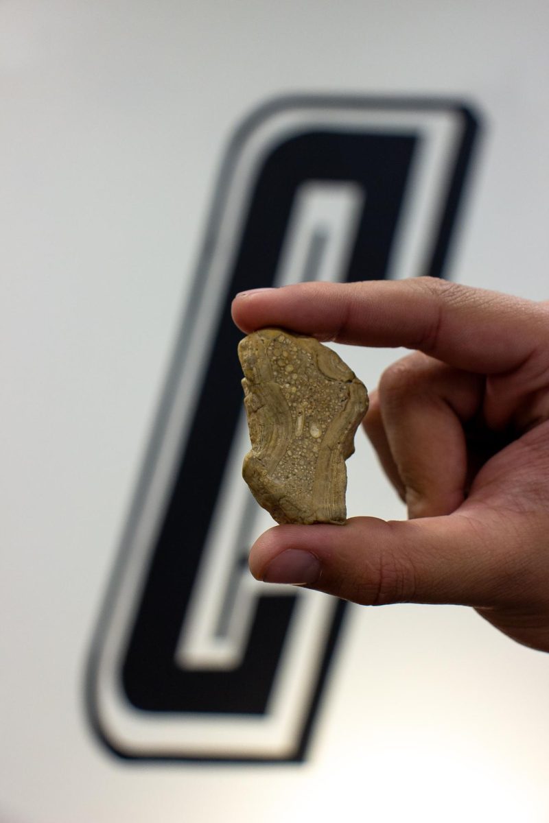 Freshman pre-business administration major Luke Travis holds up the rock he found at Highline Lake State Park, which turned out to be an ancient piece of limestone.