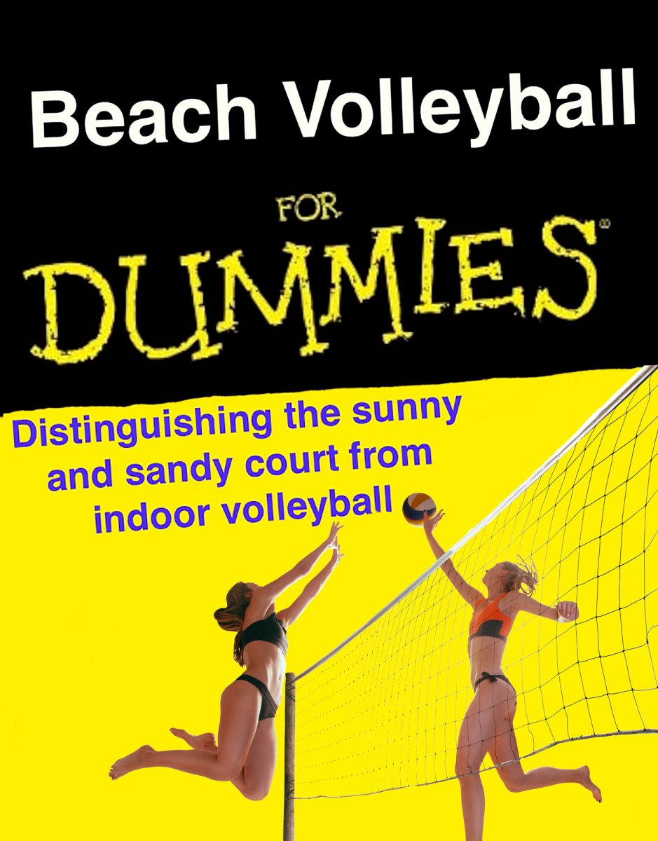 BEACH VOLLEYBALL FOR DUMMIES