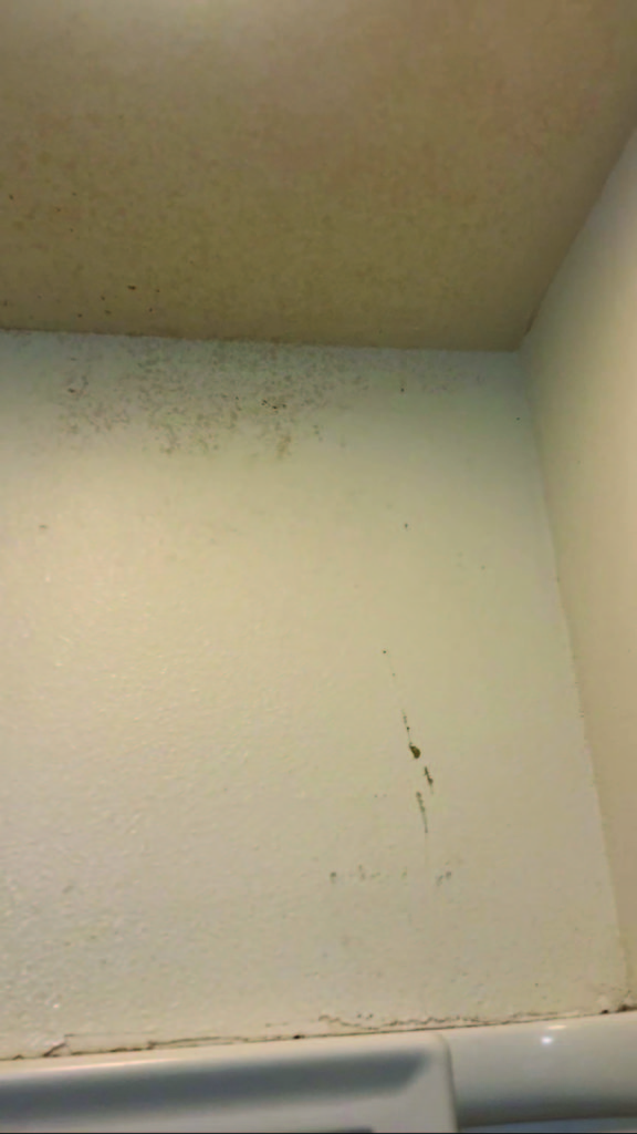 Mold in the dorms.