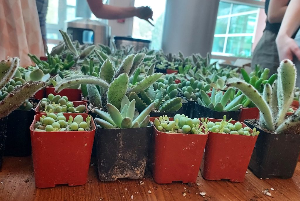 Succs for Earth Day